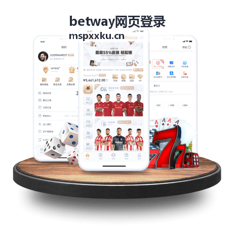 betway网页登录网络连接检查示意图